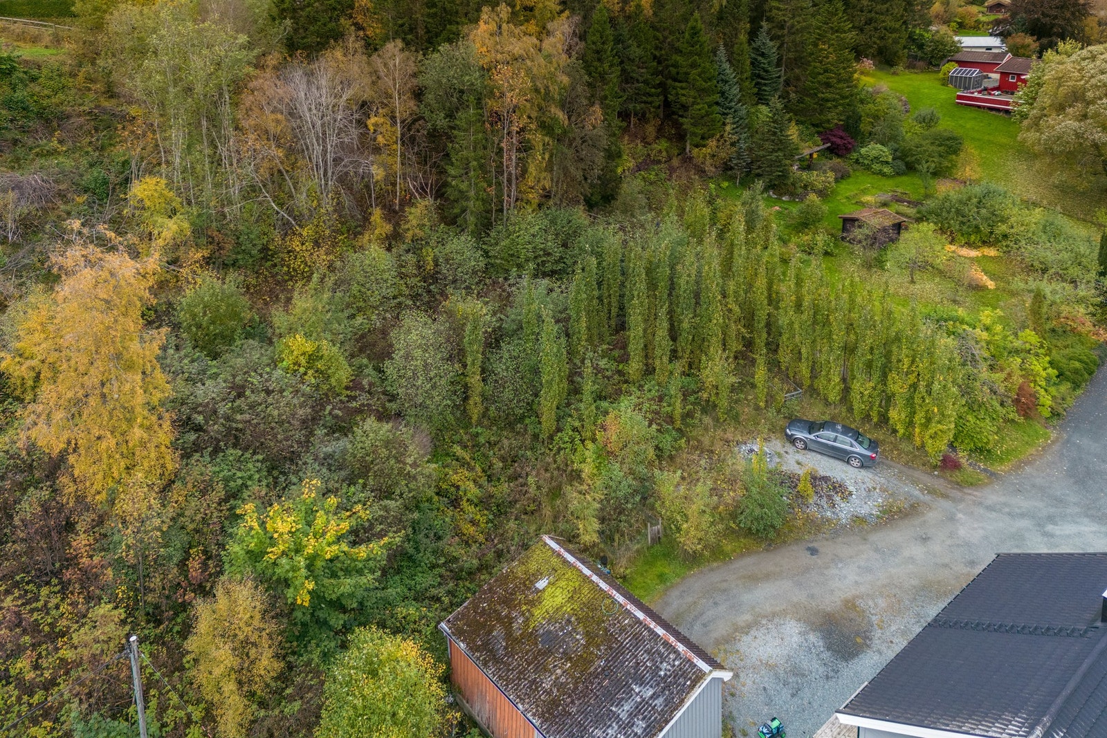 Oversiktsbilde Galleribilde