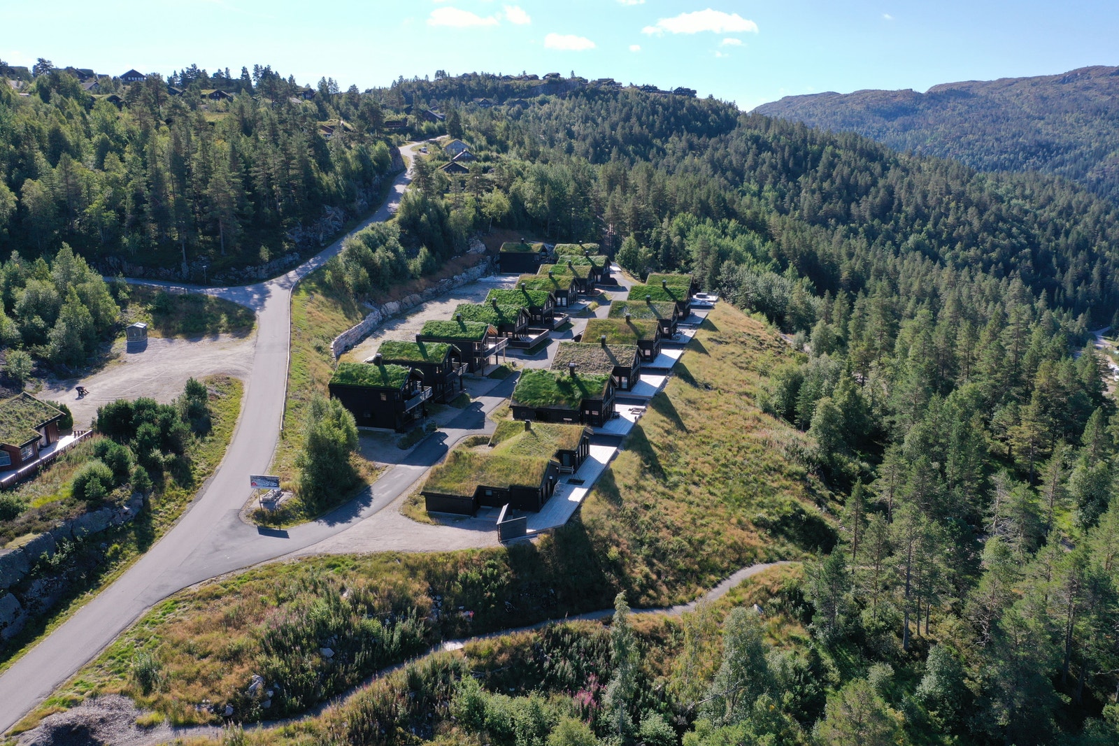 Bortelid Fjellgrend Galleribilde