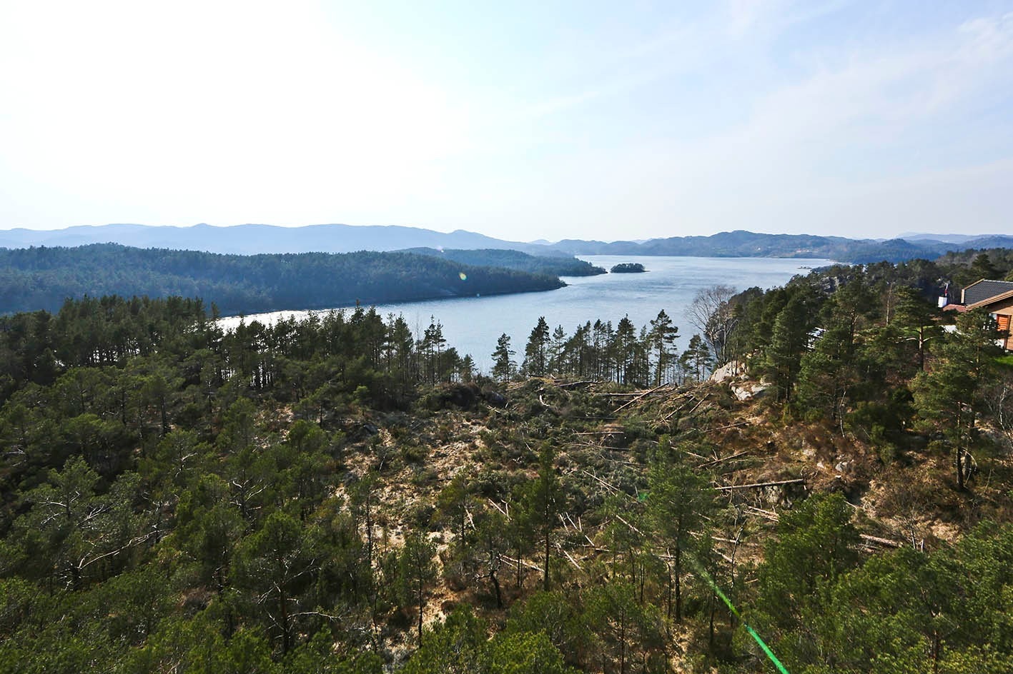 026_1T0C4860.jpg.jpg Galleribilde