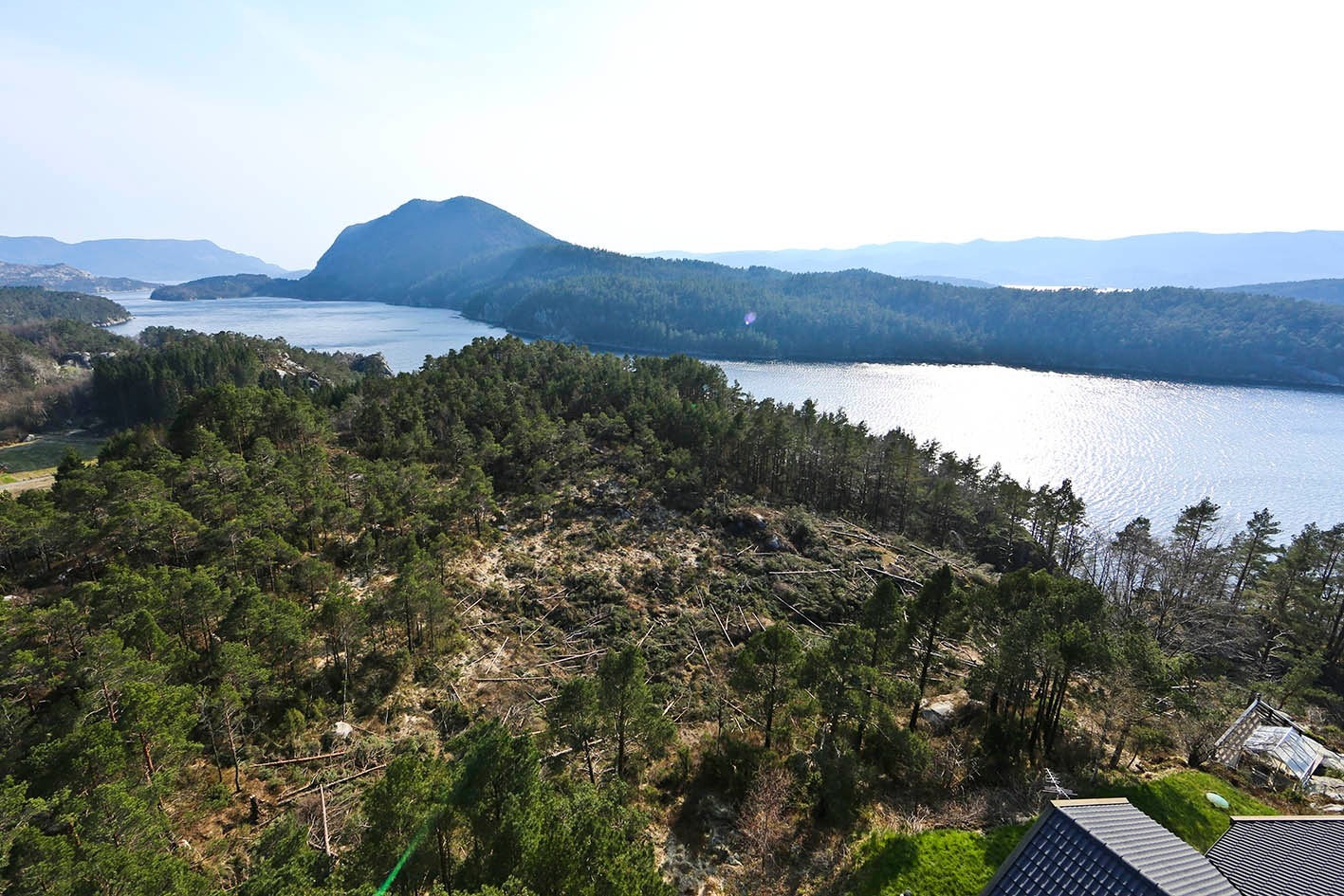 025_1T0C4823.jpg.jpg Galleribilde