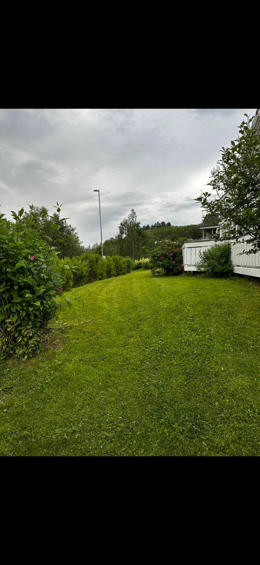 Selgers egne sommerbilder Galleribilde