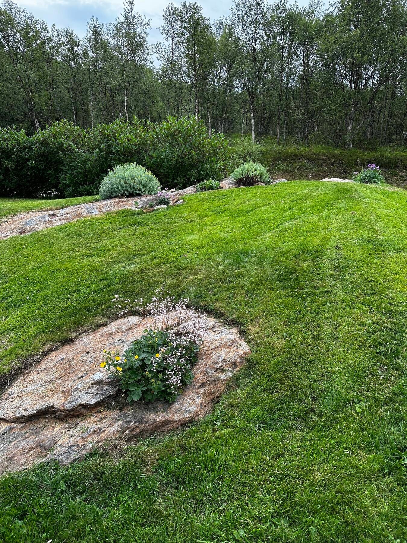 Selgers egne sommerbilder Galleribilde