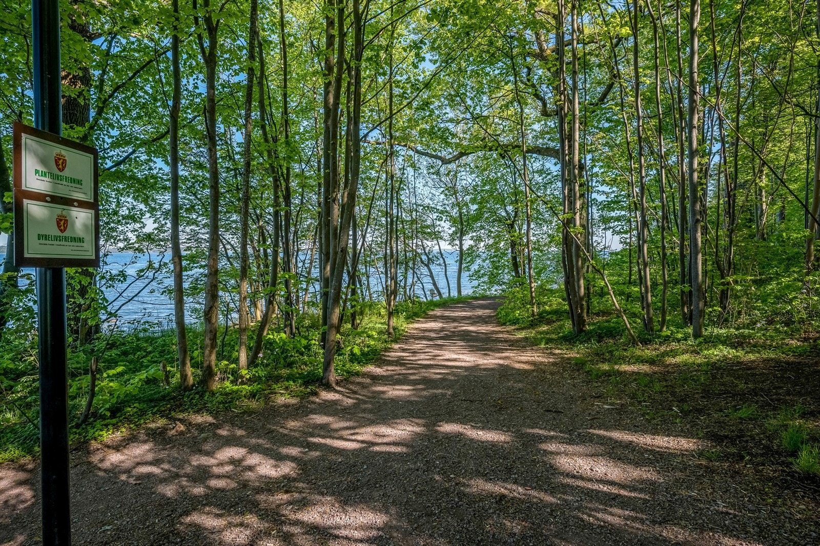 Kyststien ved Tivolistranda.jpg Galleribilde