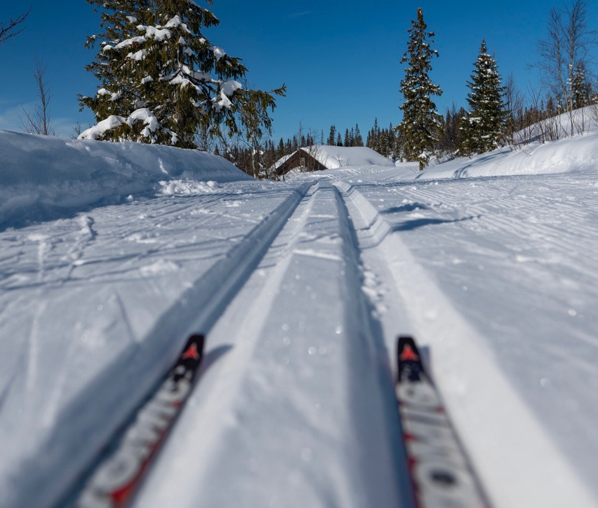 Skispor Galleribilde