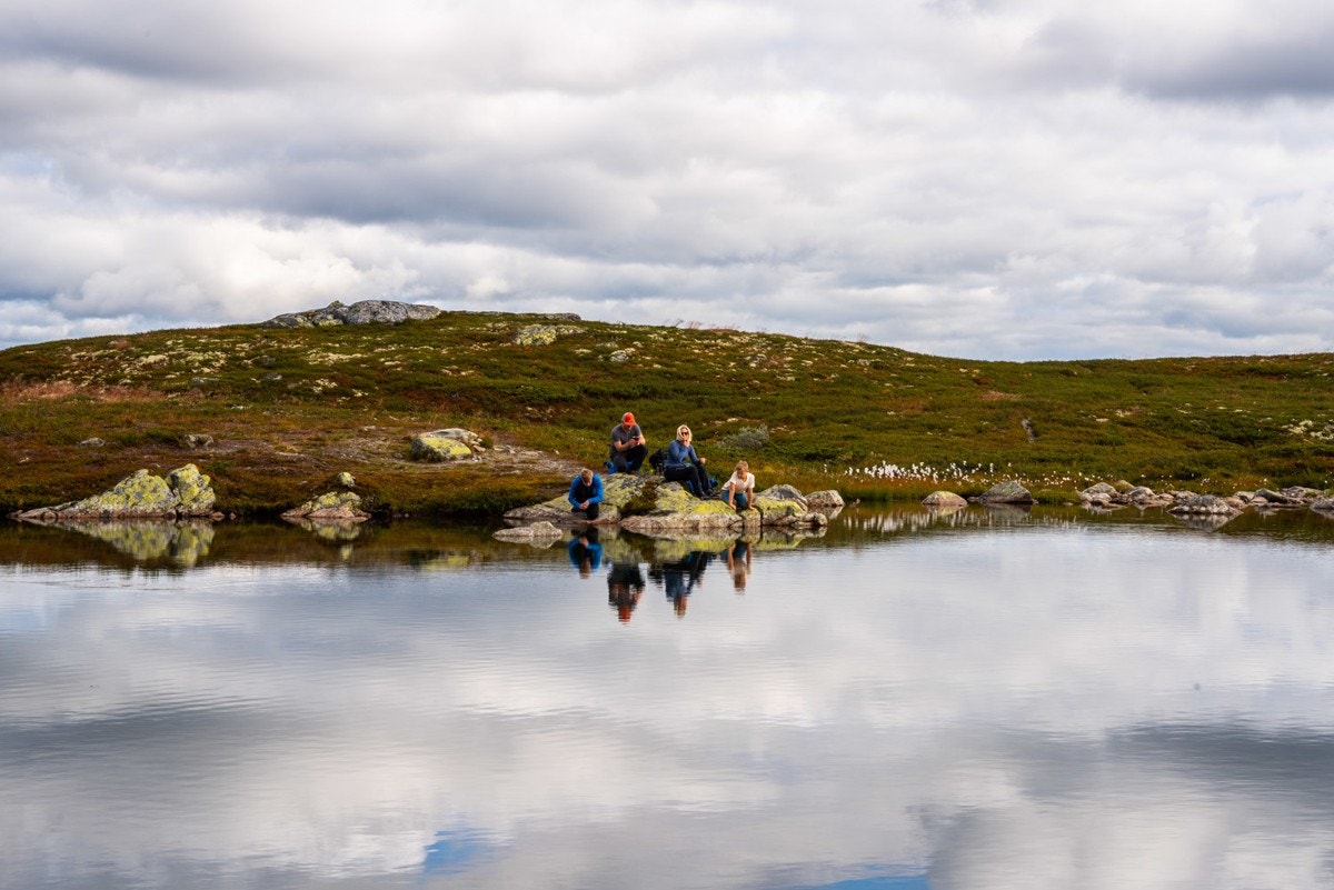 Fjellvann Galleribilde