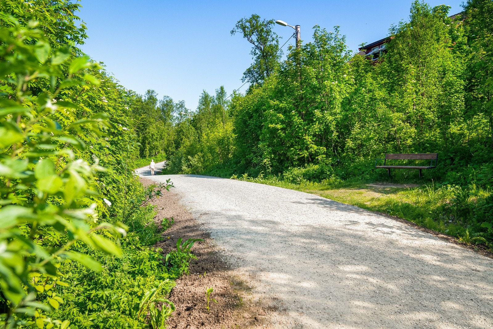 Sti til lysløypa like ved boligen. Her har du fantastiske turmuligheter, sommer som vinter. Galleribilde