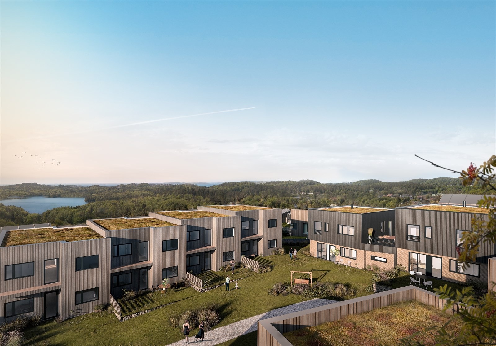 Privat og felles hageområde bak (3D illustrasjon) Galleribilde