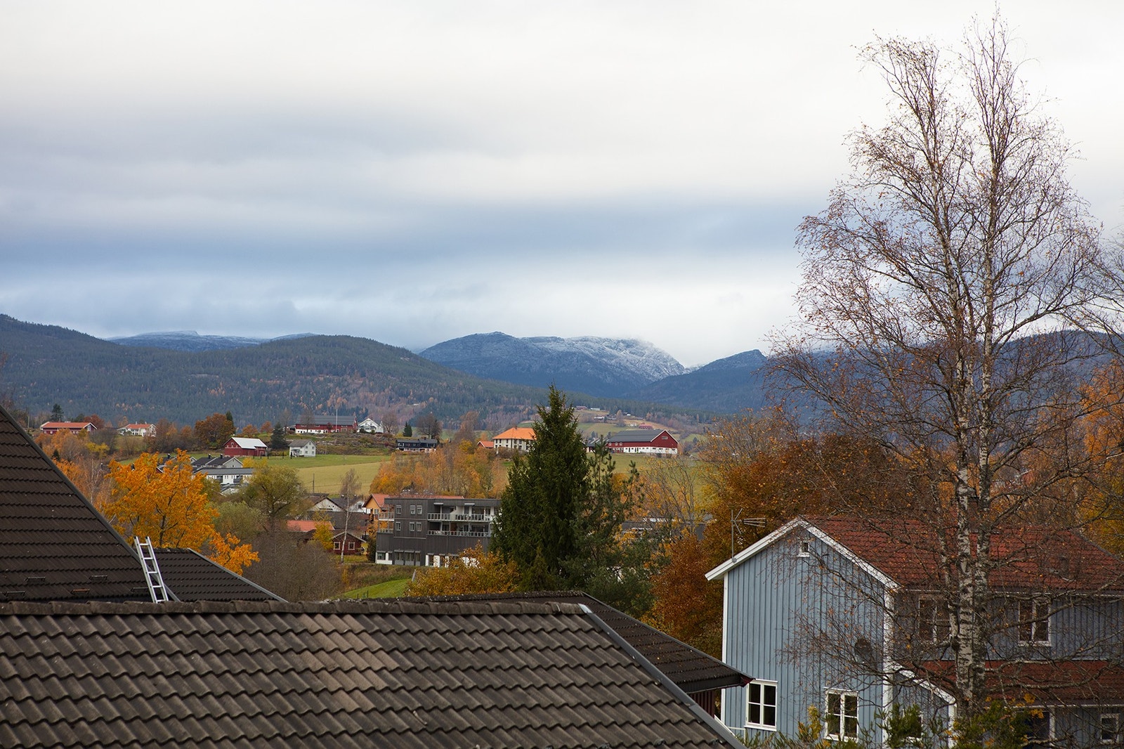 utsikt fra tak veranda Galleribilde