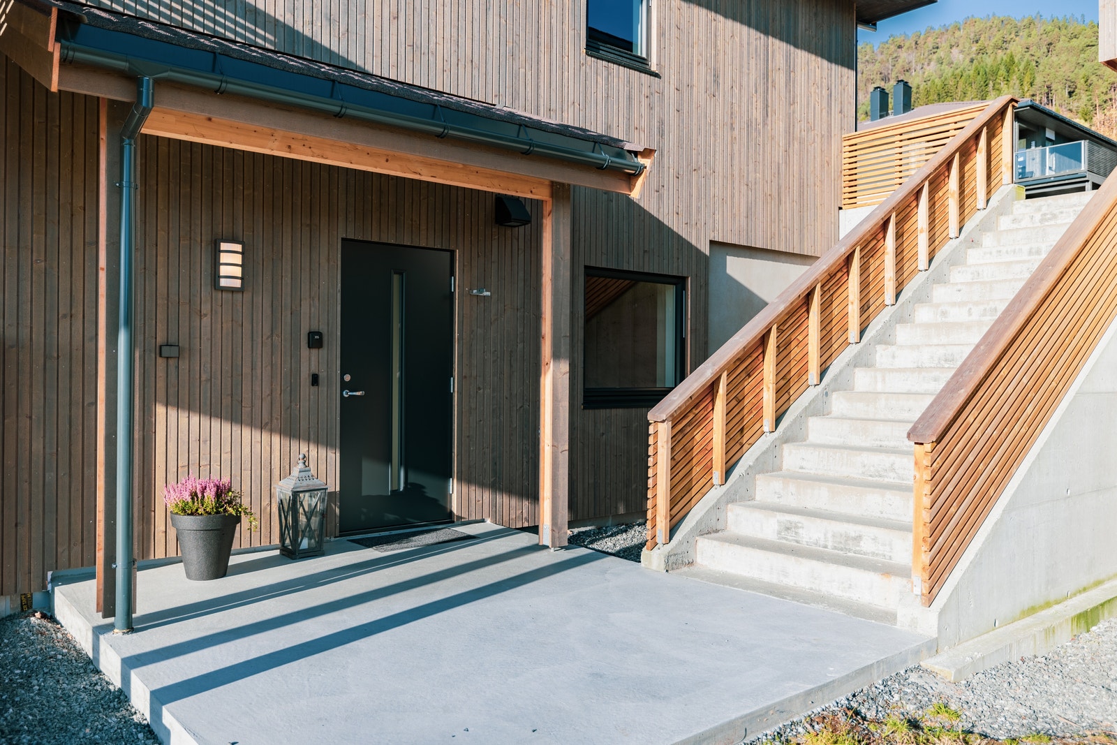 Fin ytterdør med glasfelt i frosta glas Galleribilde