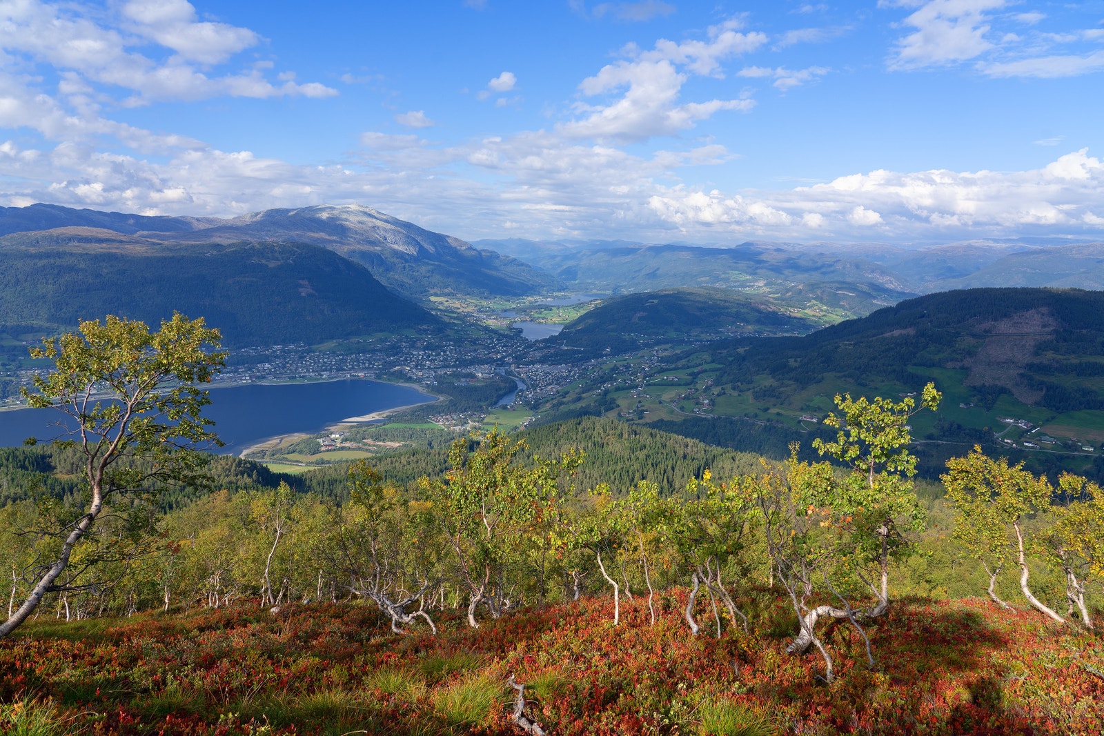 Turområde i fjella rundt Voss - haustfargar. Galleribilde