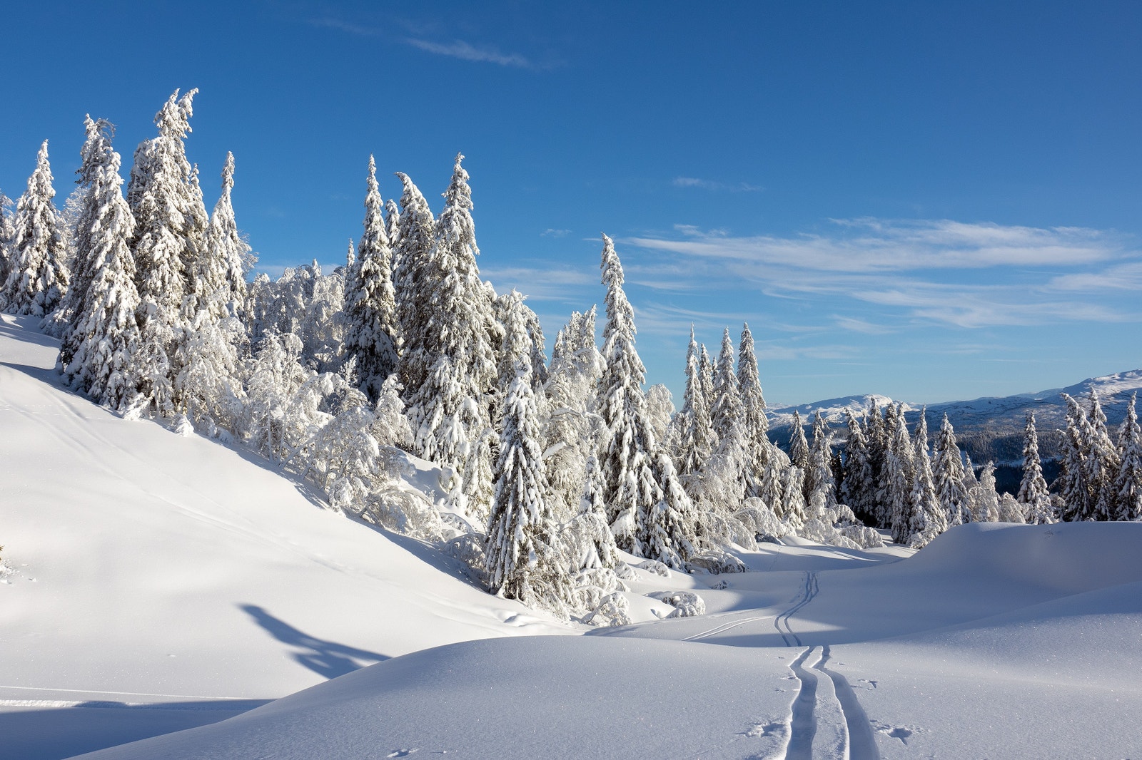 Pudder føre. Galleribilde