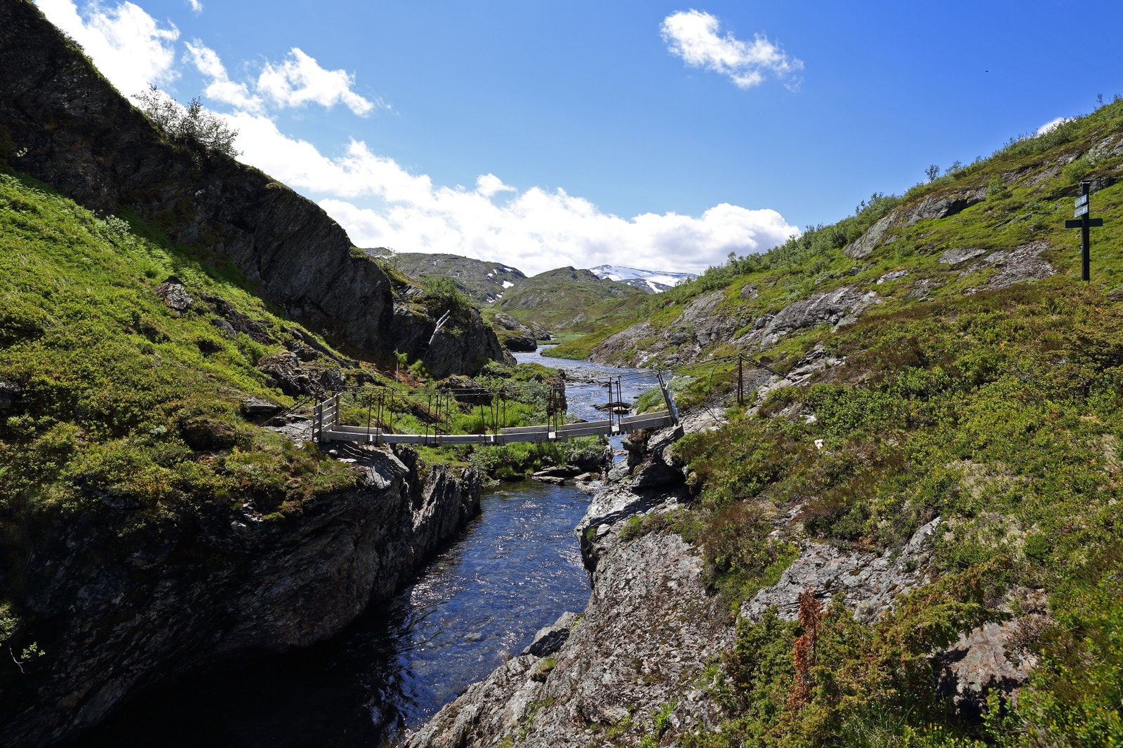 Turområde i fjella rundt Voss. Galleribilde