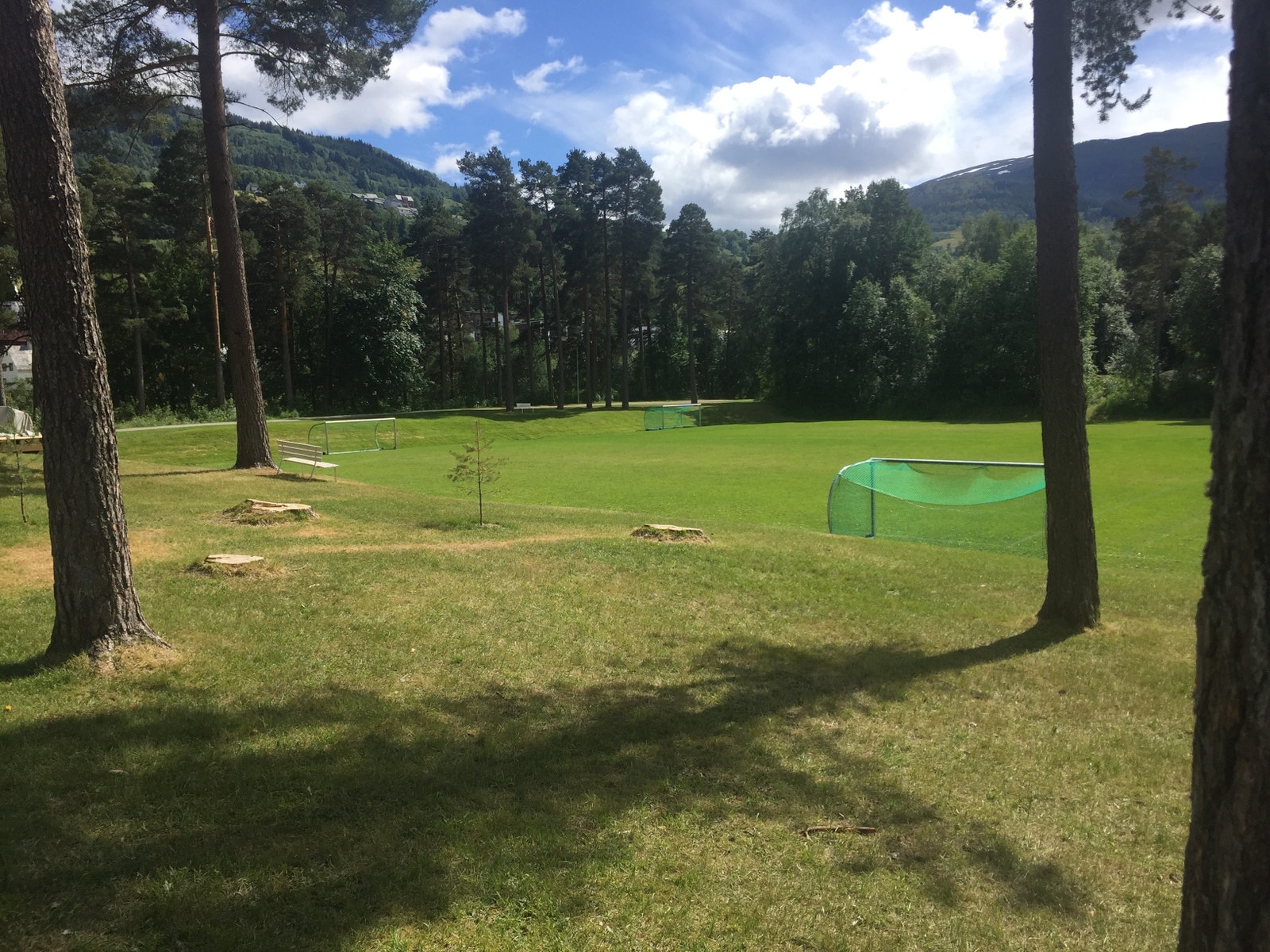 Nydelige Prestegardsmoen, Nyrefeltet bak skogen. Galleribilde