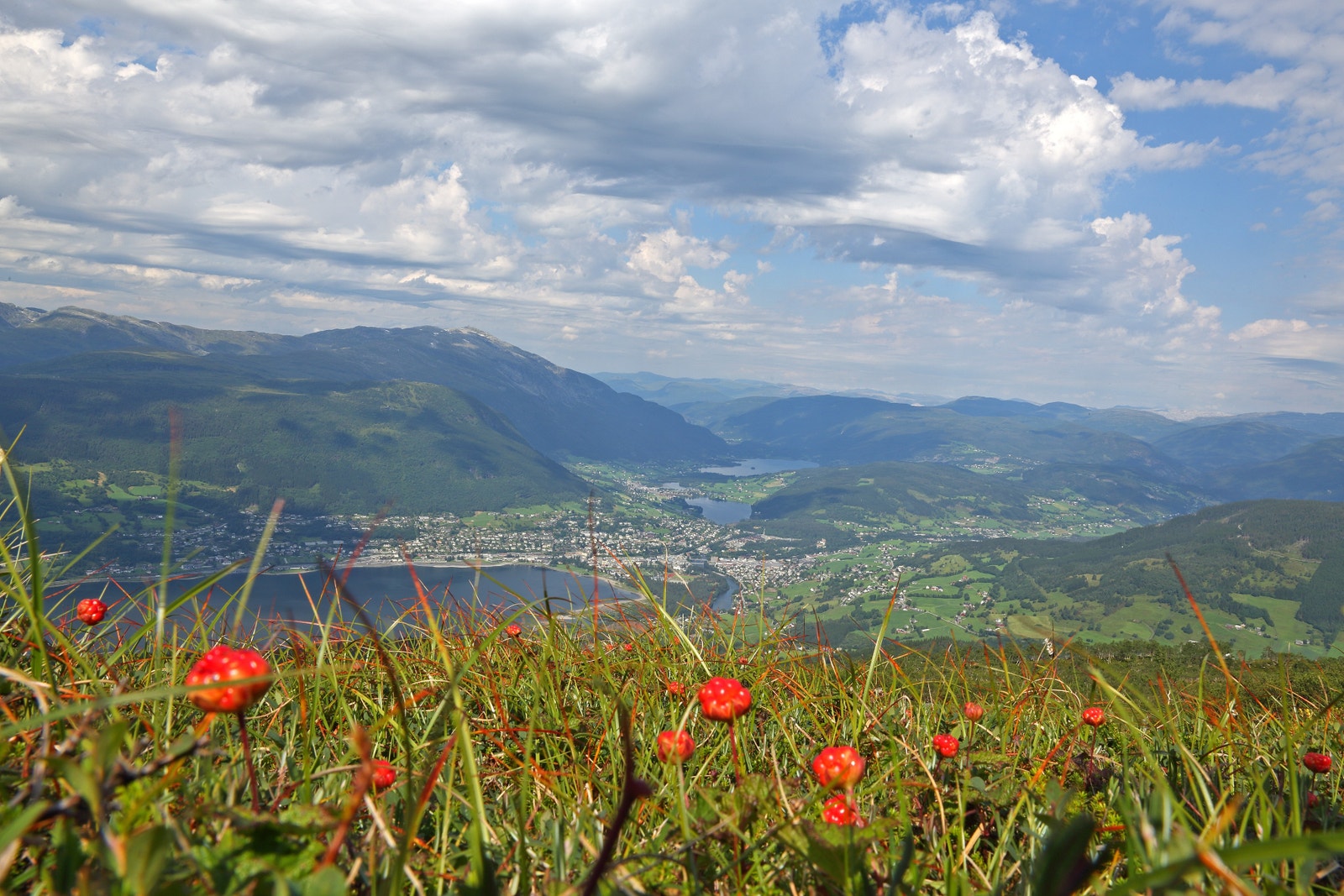 Molte tid på fjella rundt Voss. Galleribilde