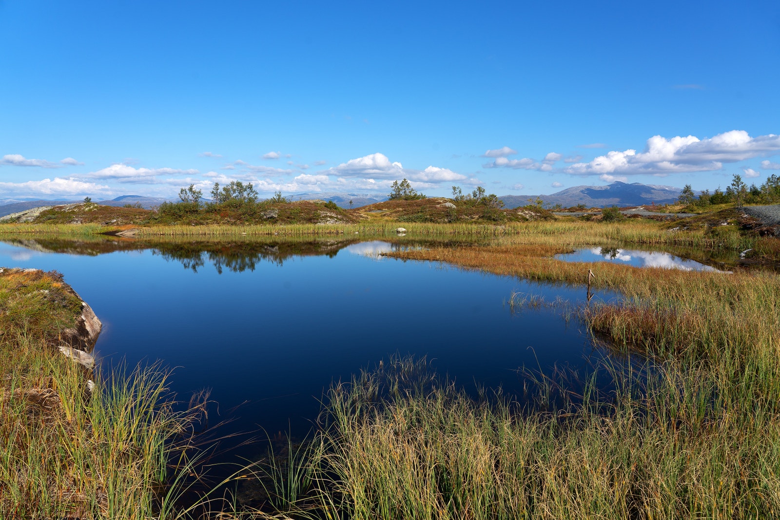 Turområde i fjella rundt Voss. Galleribilde
