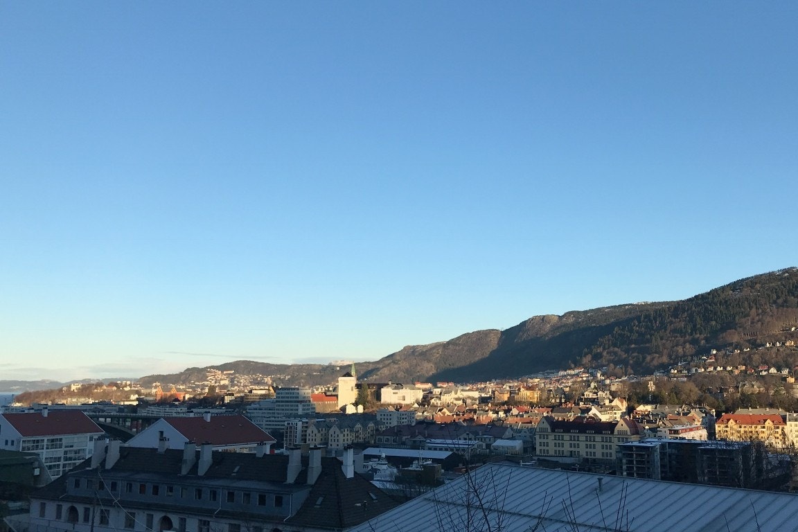 Utsikt fra stuen Galleribilde