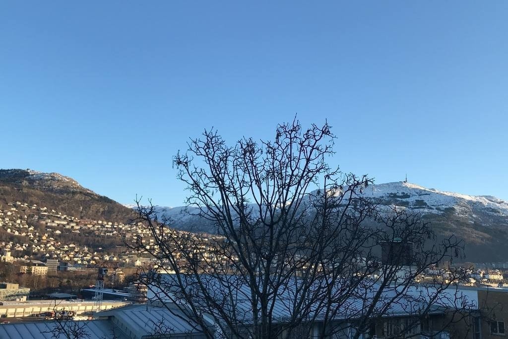 Utsikt fra stuen Galleribilde