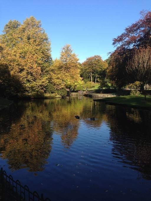 12 min å gå til Bergens vakreste park Galleribilde