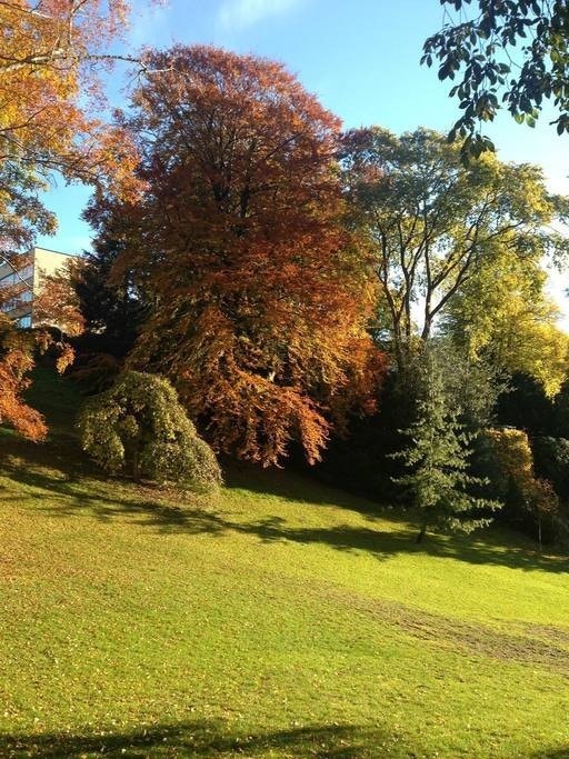 12 min å gå til Bergens vakreste park Galleribilde