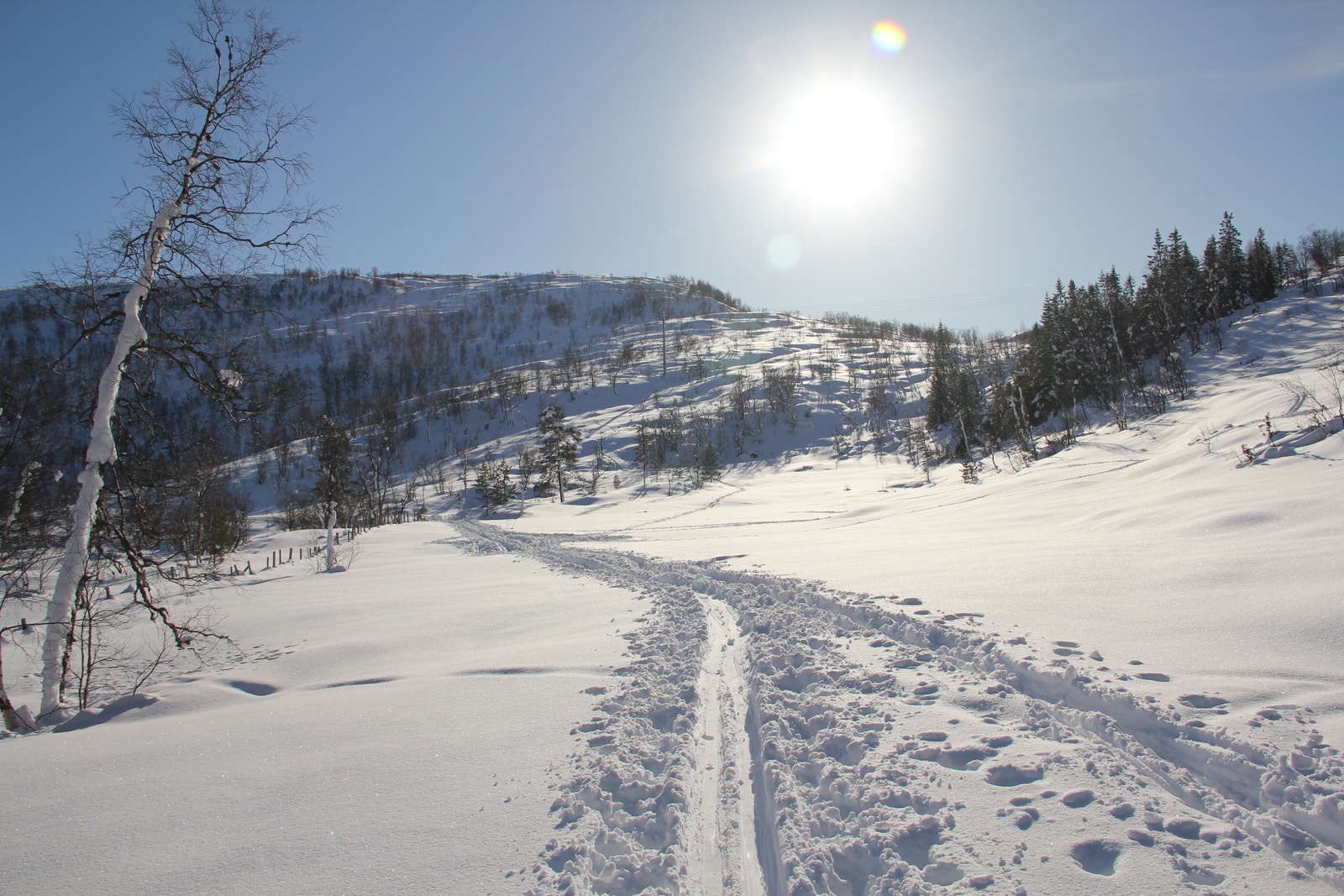 Områdebilde. Galleribilde