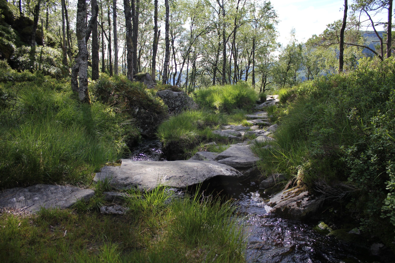 Områdebilde. Galleribilde