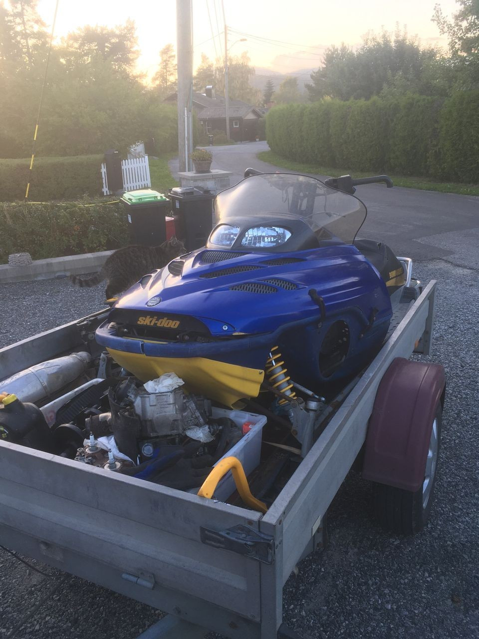 Ski Doo ZX, MXZ og Summit | FINN-torget Ski Doo ZX, MXZ og Summit | FINN-torget