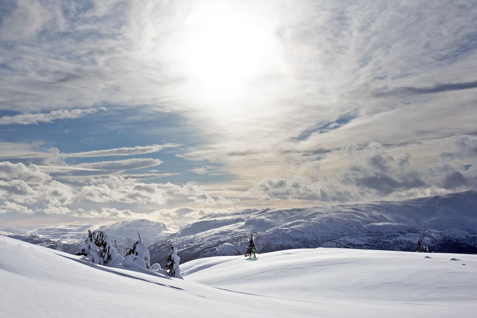 Nysnø i fjellene rundt Voss. Galleribilde