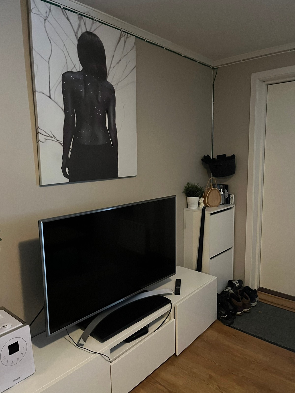 Stue Galleribilde
