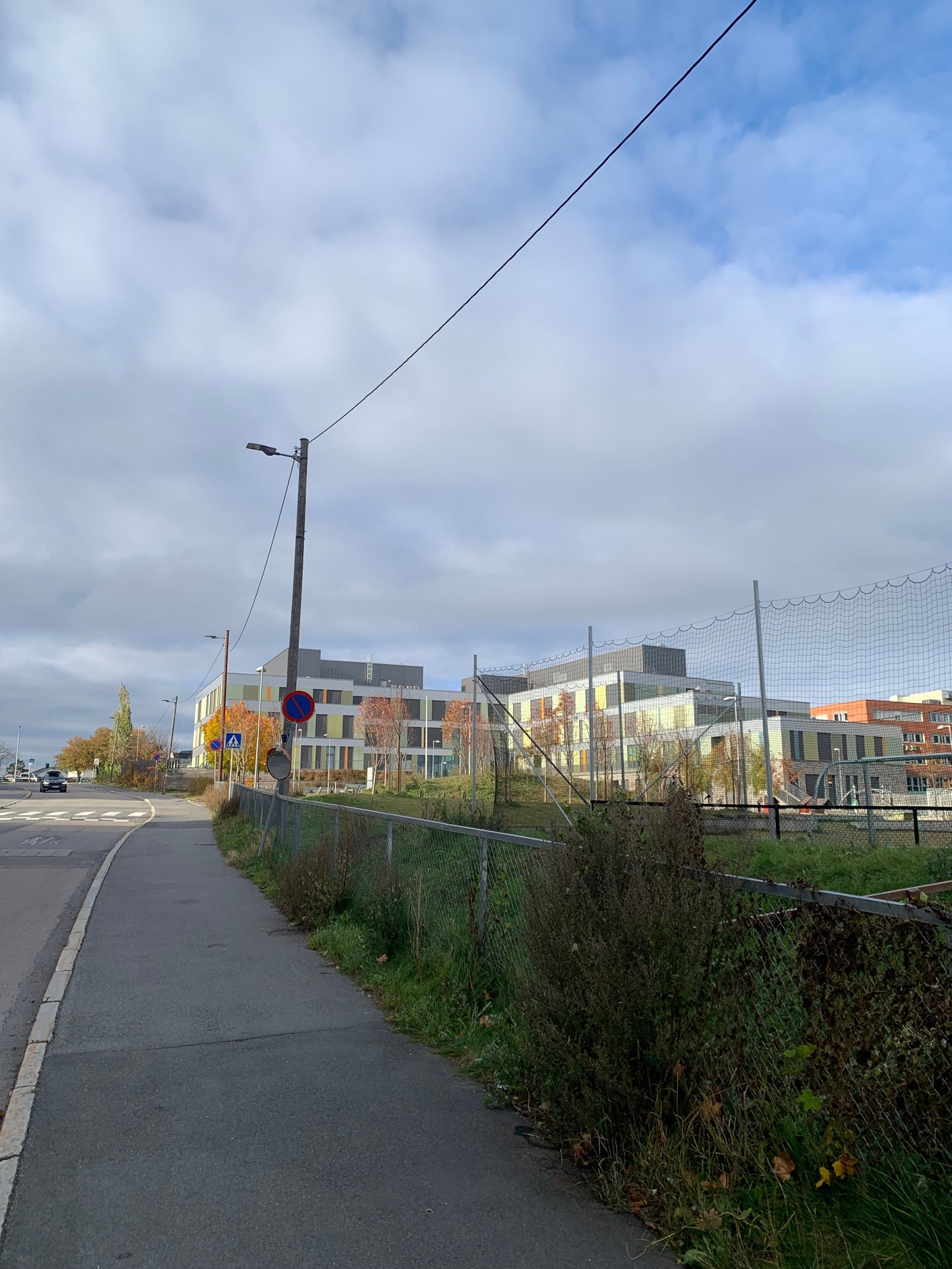 Barneskole Galleribilde