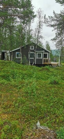 Sett vestfra. Galleribilde