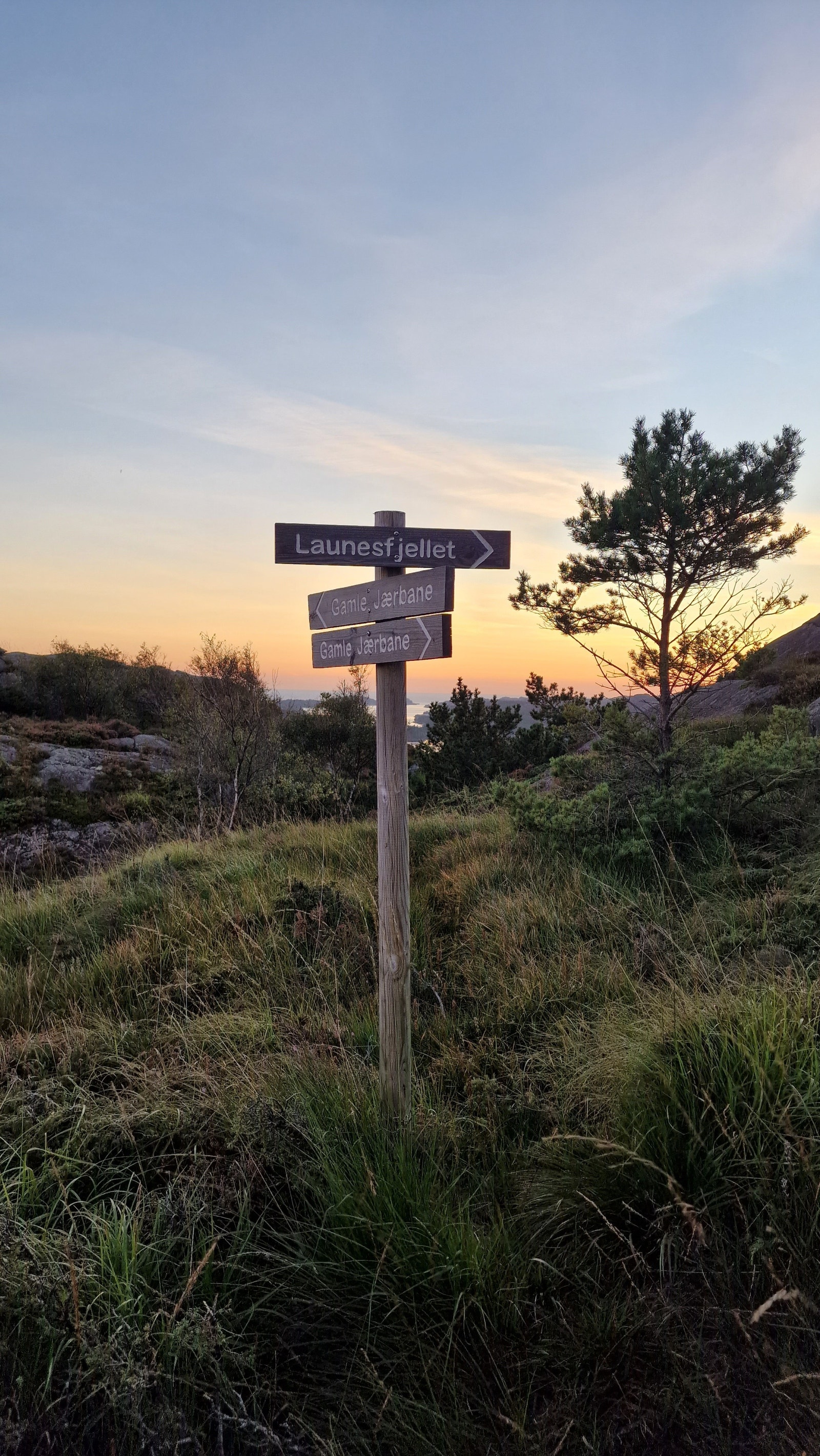Turområde i nærheter Galleribilde