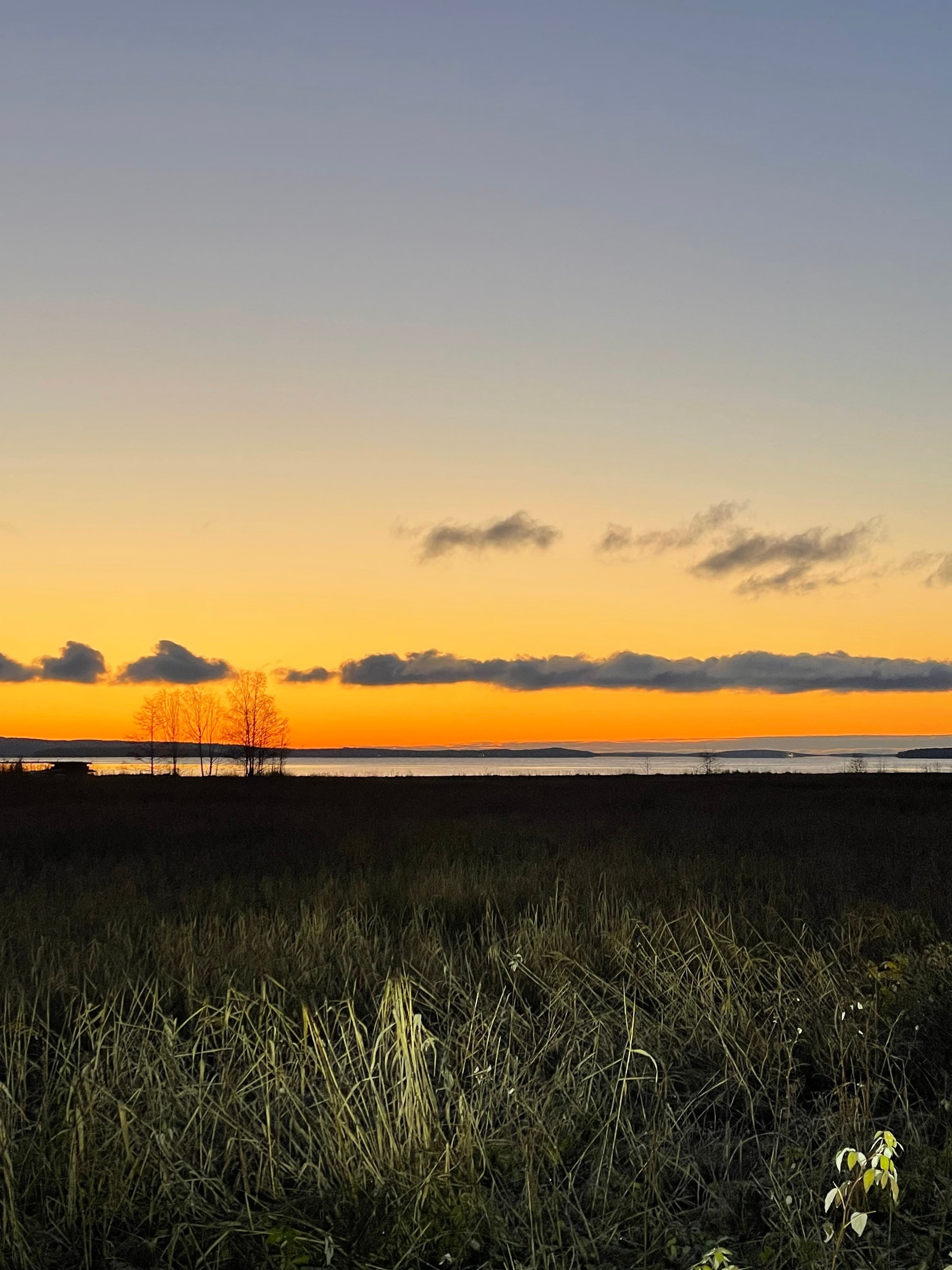 Bilde tatt en morgen i november Galleribilde