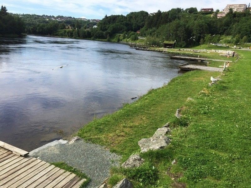 Nærområdet Galleribilde