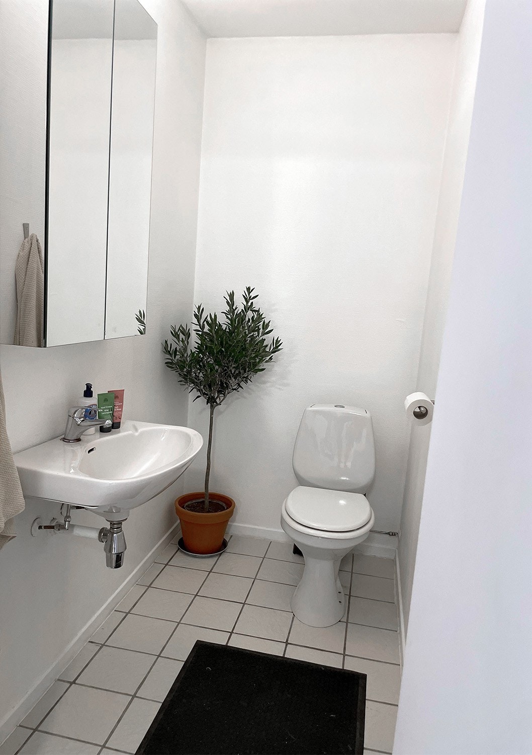 Separat toalett Galleribilde