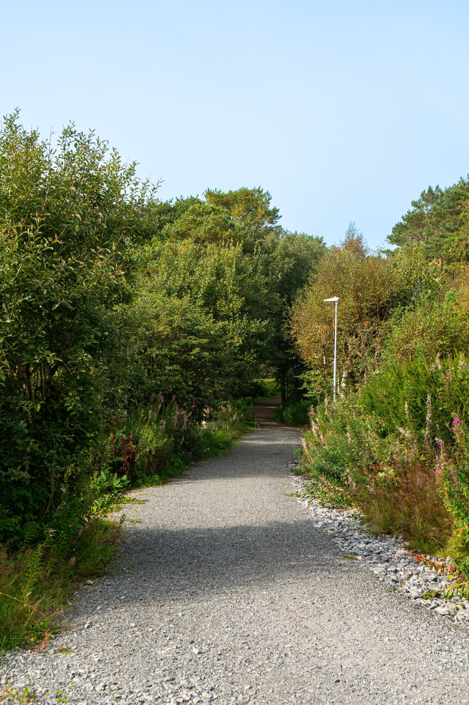 Verdalen-gangsti ned til Bore skule Galleribilde