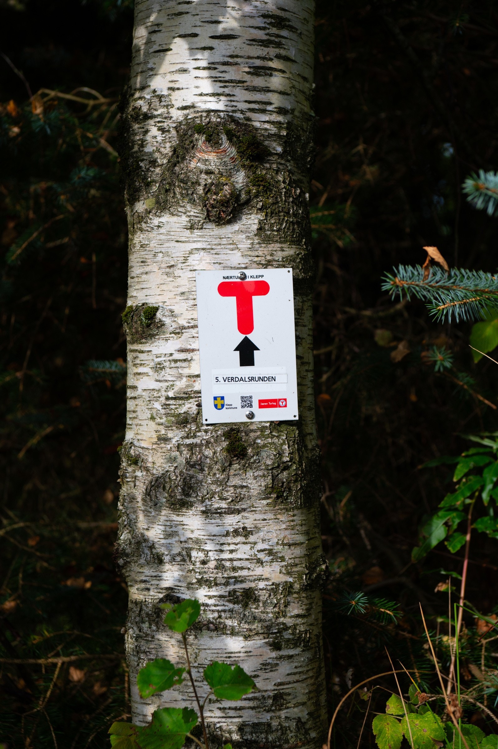 Verdalen - ut på tur aldri sur! Galleribilde