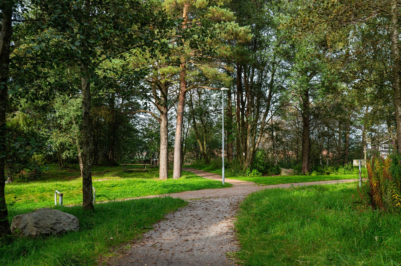 Verdalen og turområde Galleribilde