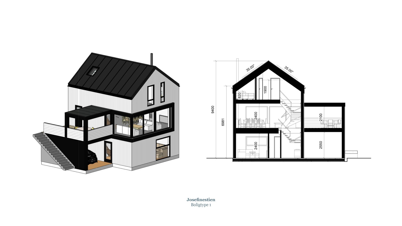 Bolig type 1, tomt 1 snitt og 3D Galleribilde