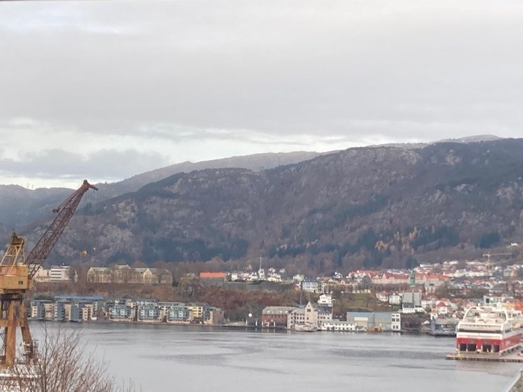 Utsikt fra hagen utenfor gatedør Galleribilde