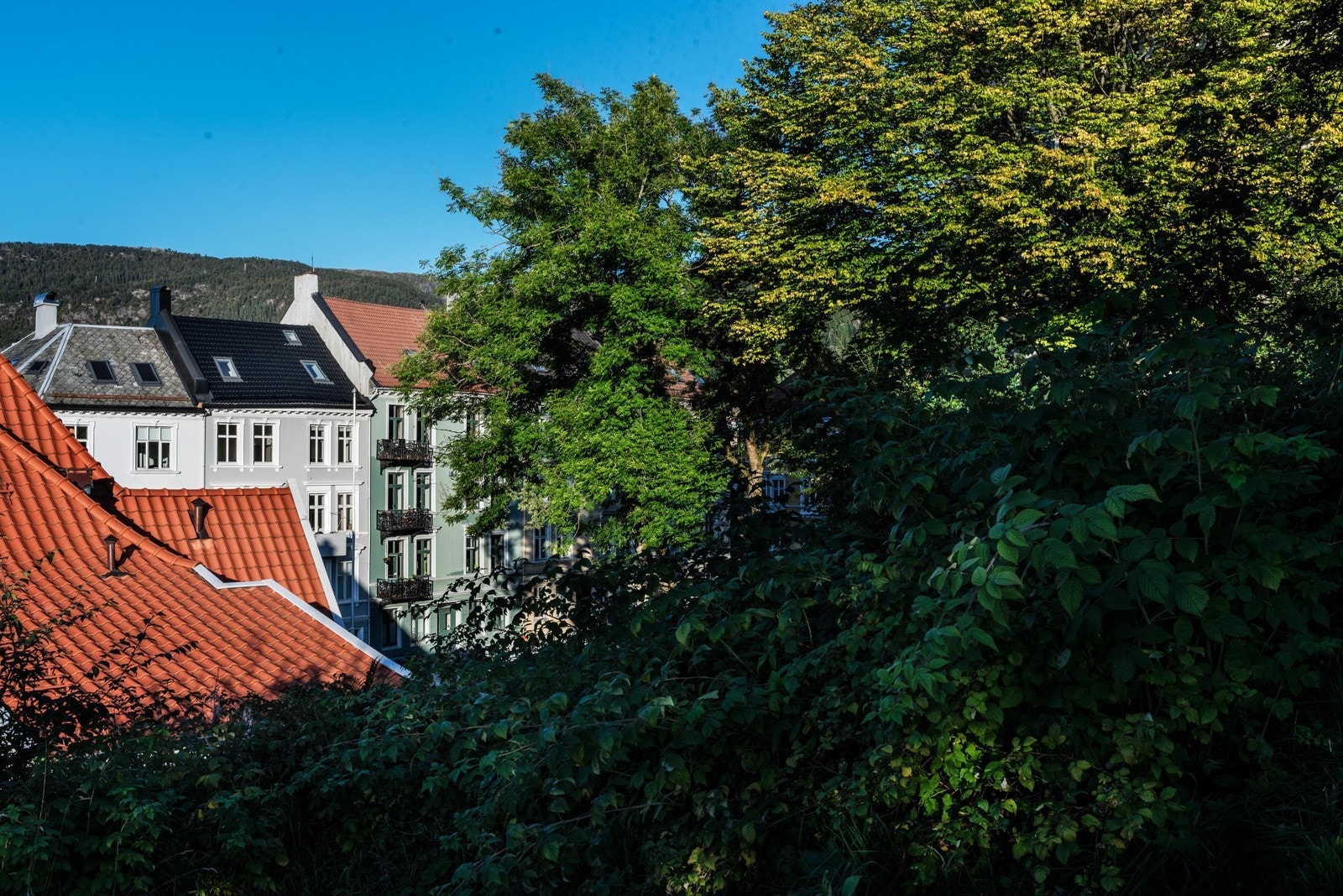 Like i nærheten. Galleribilde