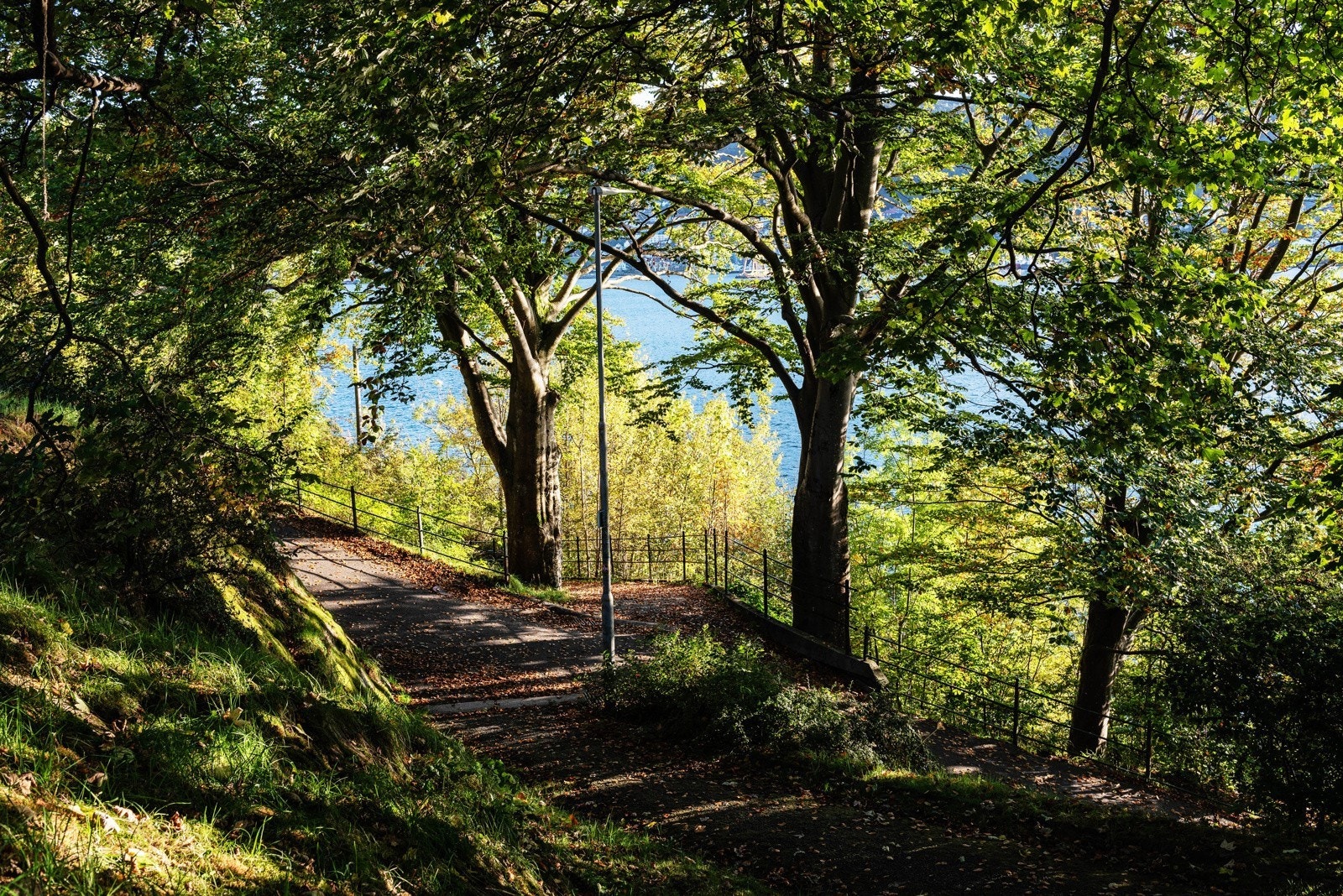 Kort vei til flotte turmuligheter. Galleribilde