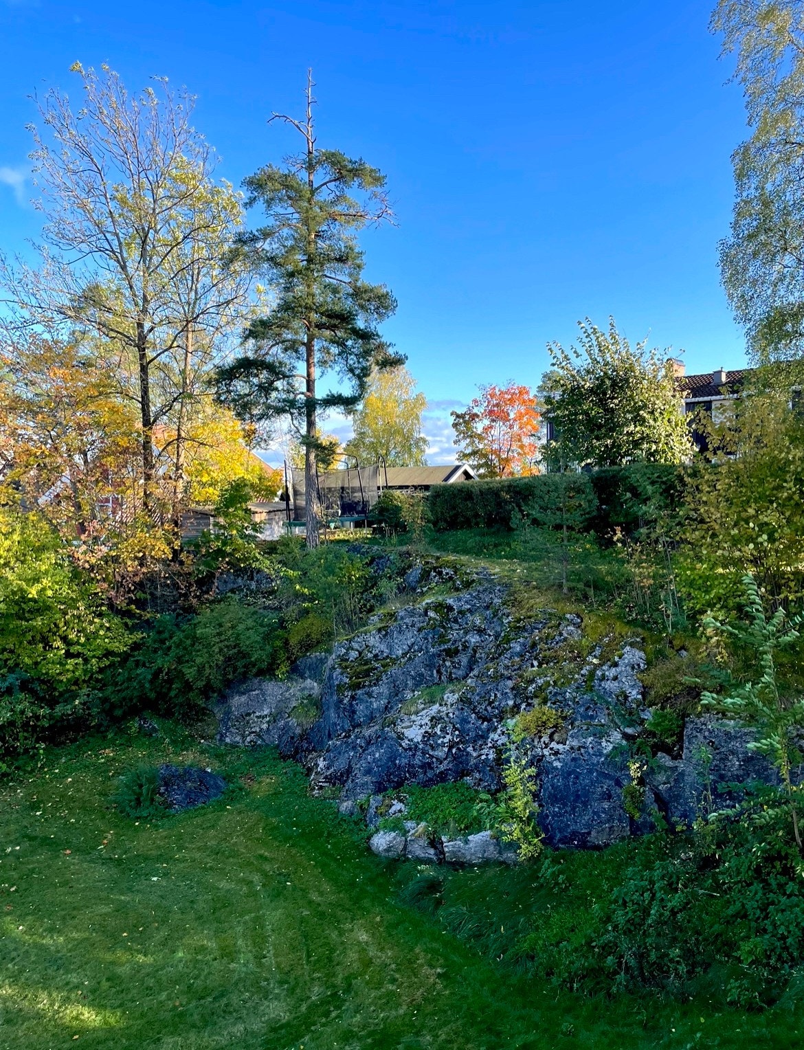 Utsyn fra leiligheten Galleribilde