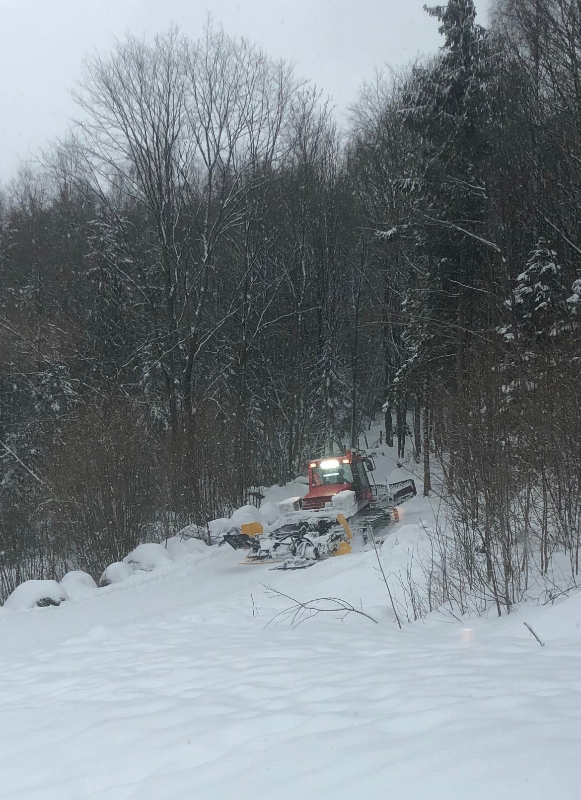 Skiløyper fra hagen Galleribilde