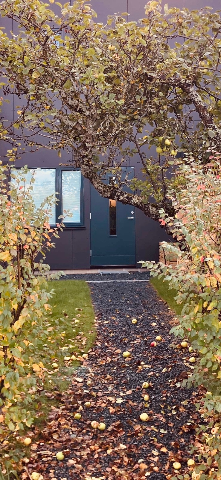 Egen inngang Galleribilde