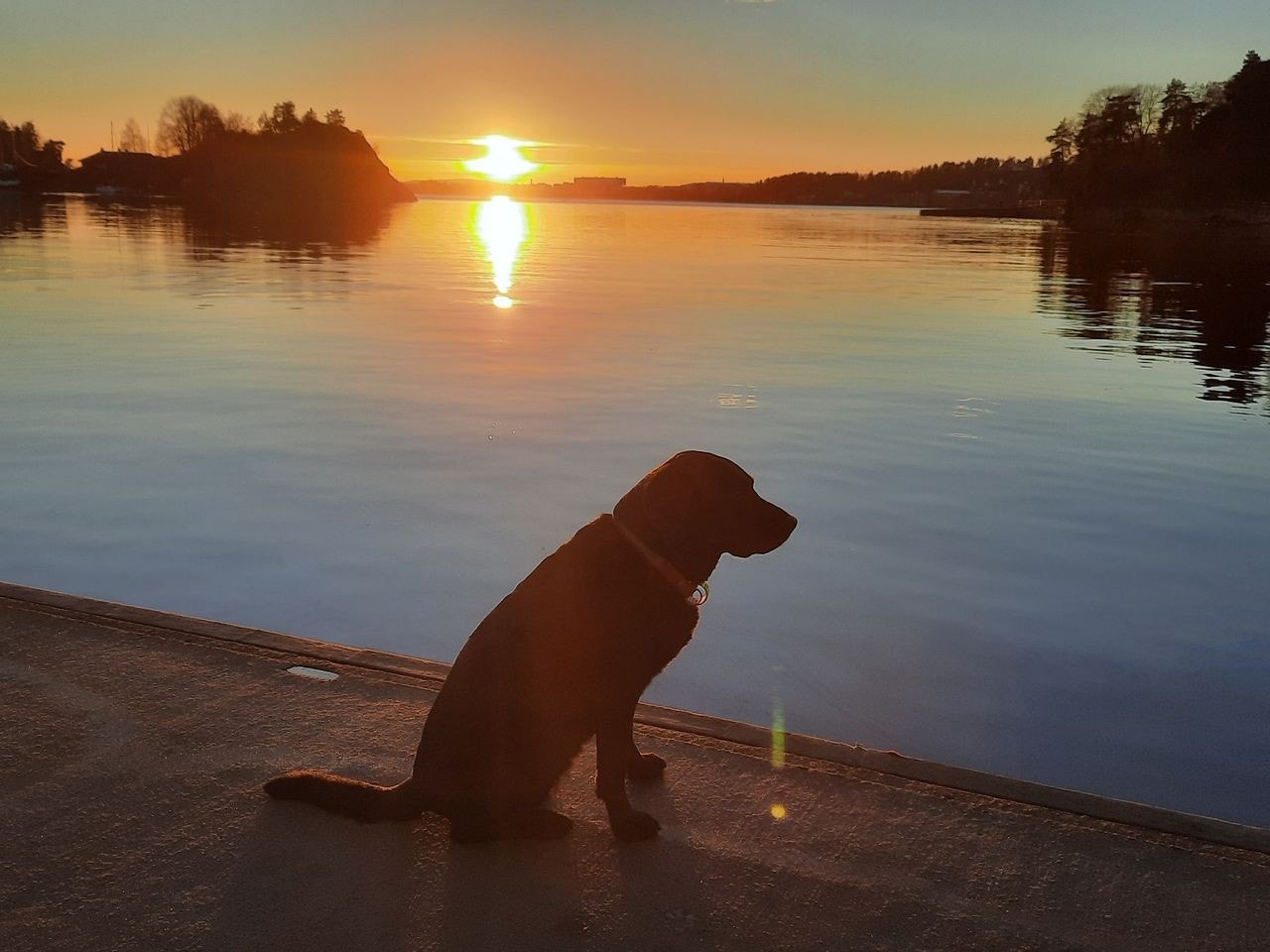 Dette bilde, med fører-hunden vår på bryggen, viser utsikt fra båten ut fjorden mot Lysaker. Bilde tatt sist vinter fra LaSa Marina i Bestumkilen. Herlig å ha denne utsikten over middagsbordet. Galleribilde
