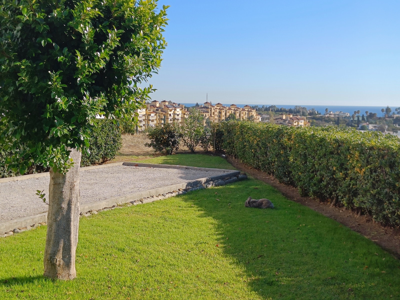 Boccia/petanque bane i hagen Galleribilde