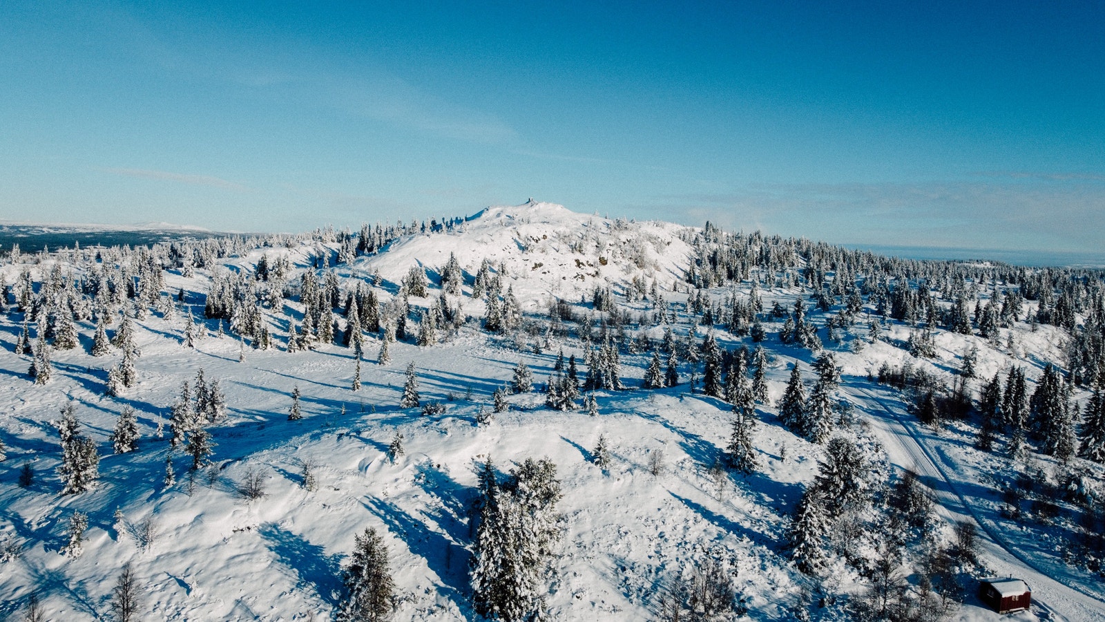 Syningtoppen Galleribilde