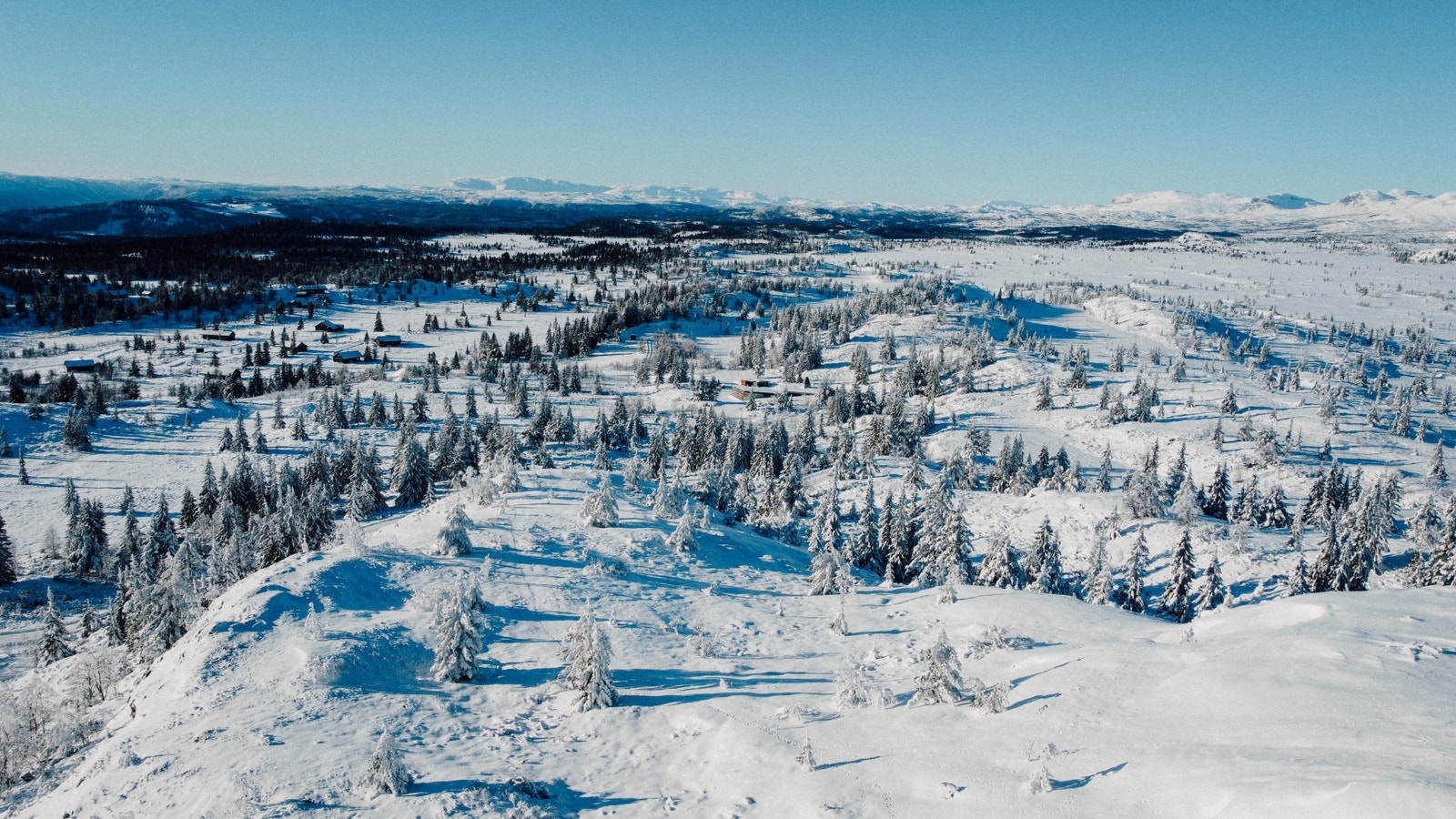 Utsikt fra Syningtoppen mot vest - Hallingskarvet - Reineskarvet Galleribilde