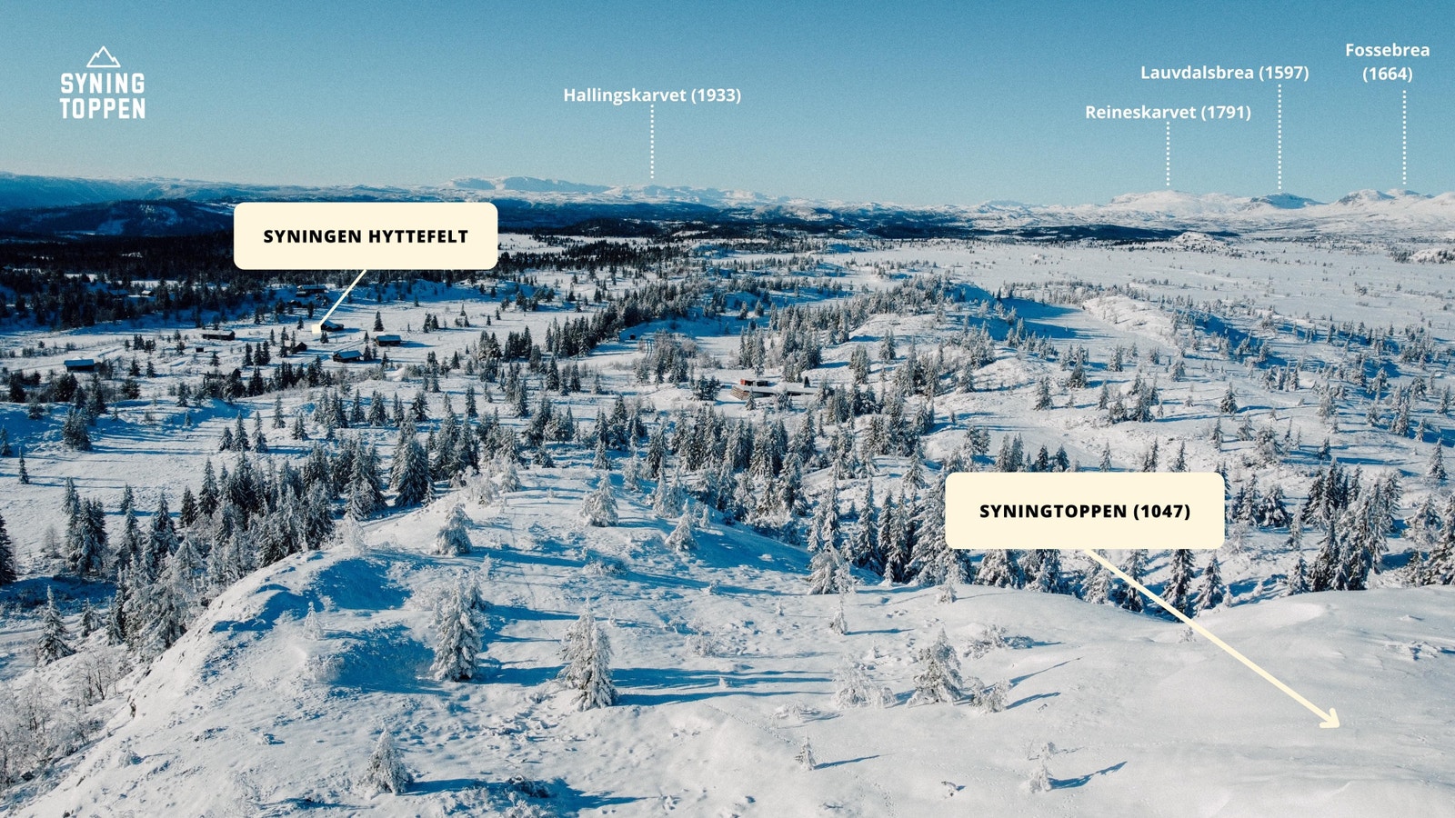 Området Galleribilde