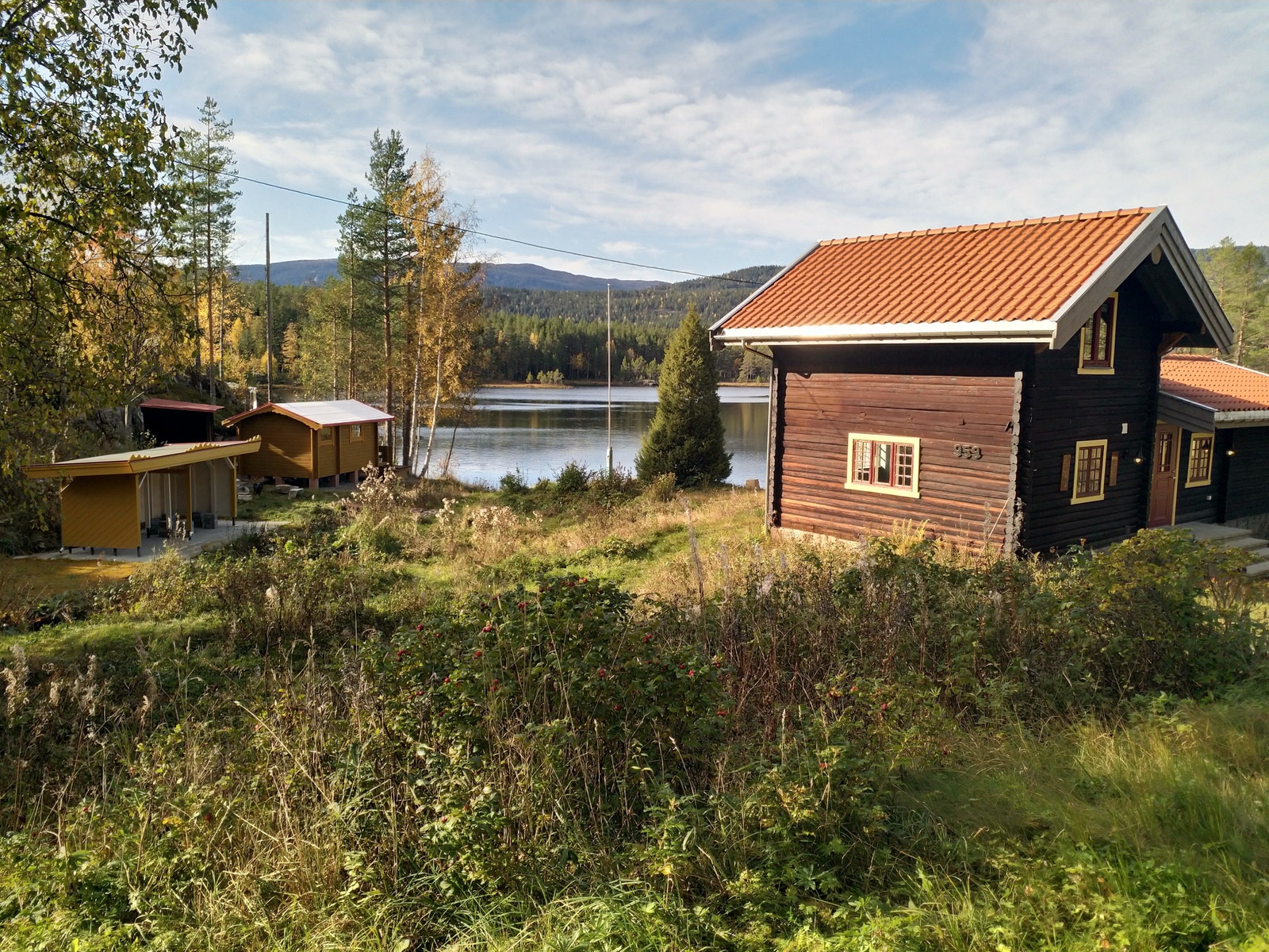 På høsten. Galleribilde